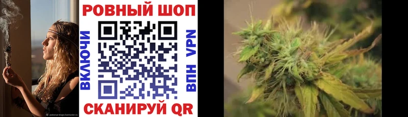Виды наркоты Берёзовский Альфа ПВП Мефедрон АМФЕТАМИН Галлюциногенные грибы ГАШИШ